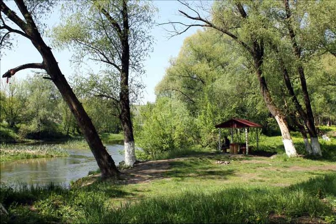 Парк заречный старый оскол фото